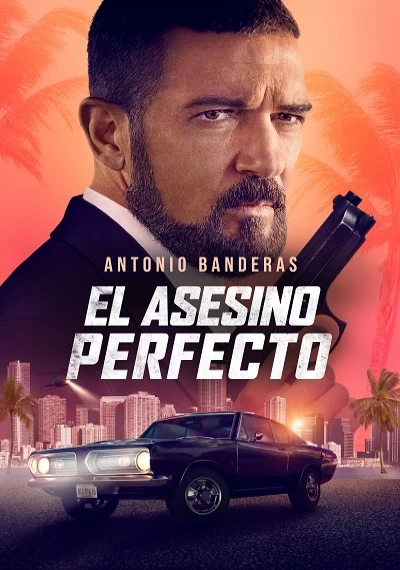ver El asesino perfecto