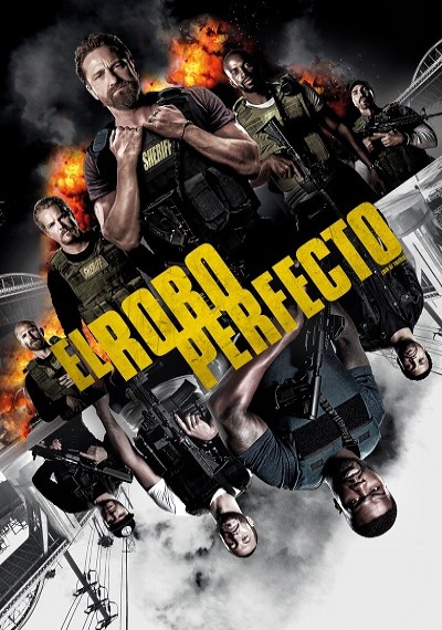 ver El robo perfecto